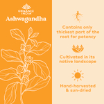 Organic India, Порошок из корня ашваганды, 454 г (16 унций)