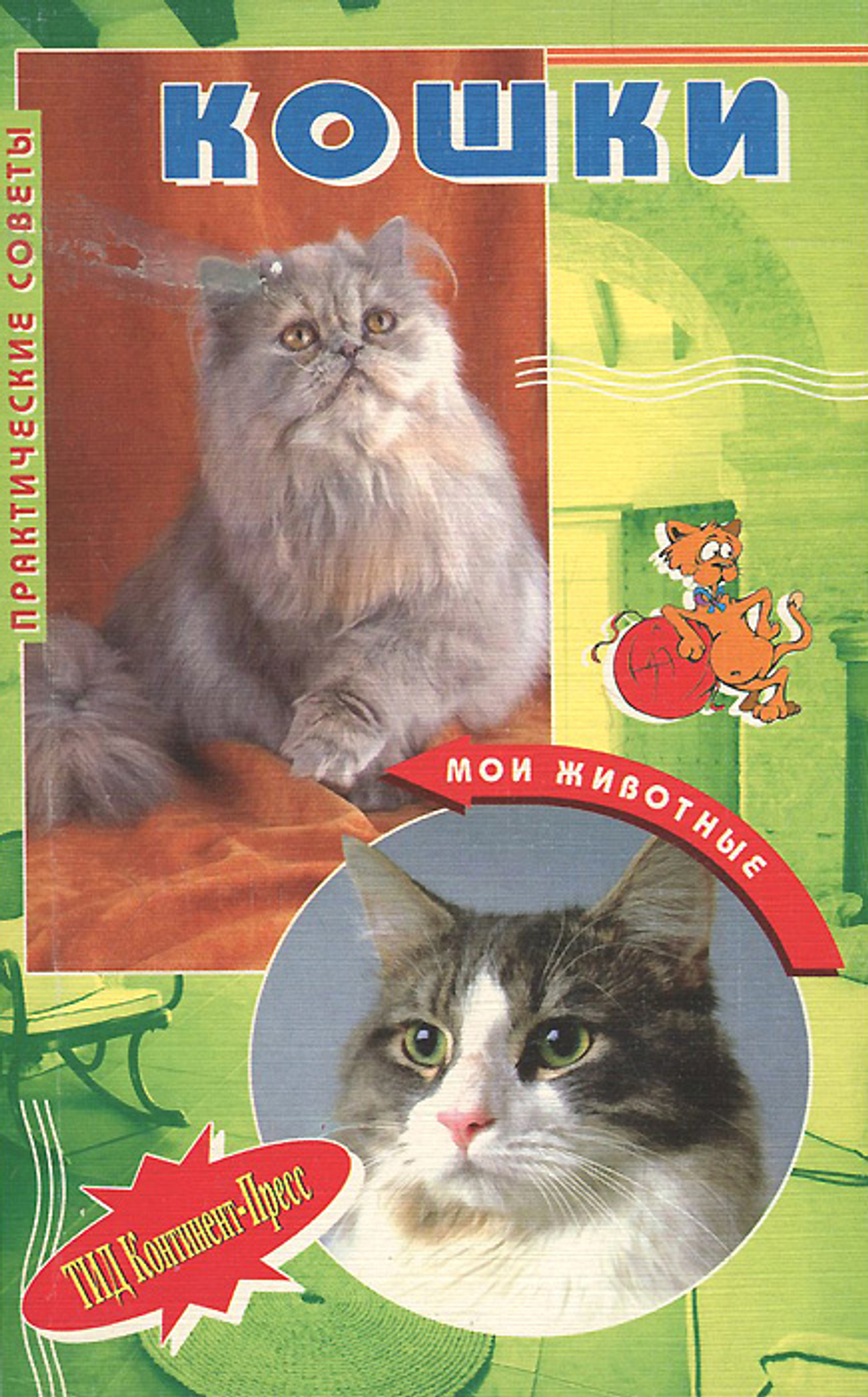 Кошки. Практические советы