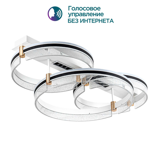 Потолочная светодиодная люстра Modelight MDL.1058.880CL WH