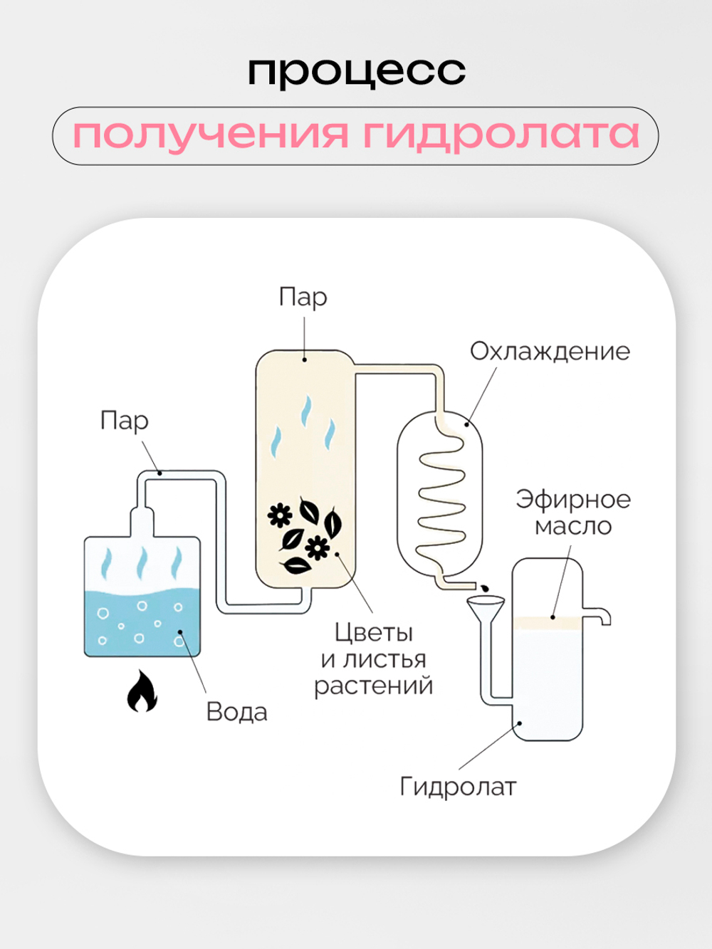 Cosmex Гидролат для лица Роза 100 мл