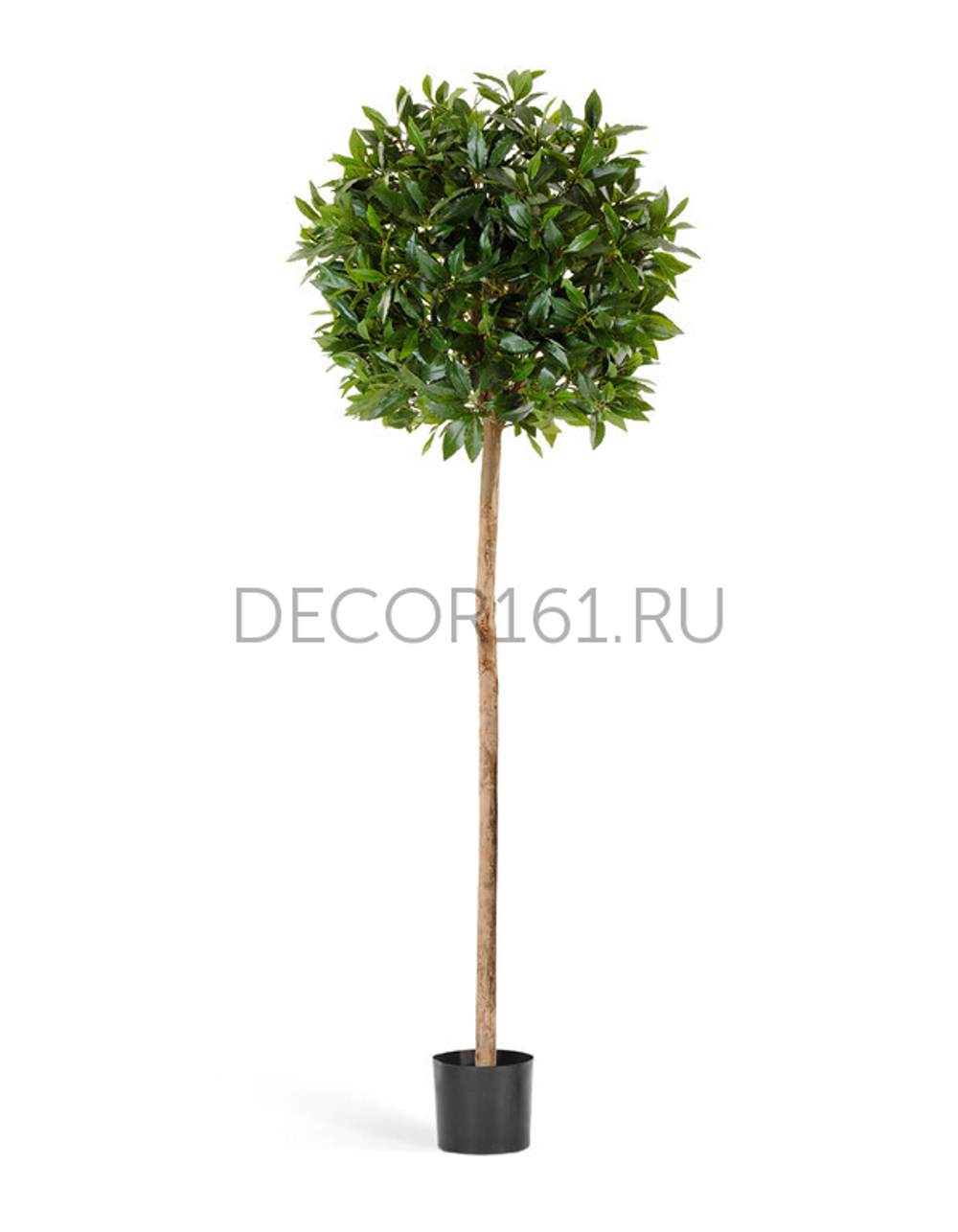 Лавр (шар) на стволе в-140 см д-45 см 2/2 10.41004N