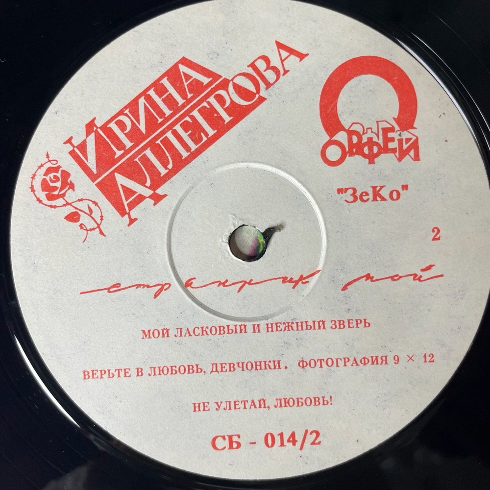 Винтажная виниловая пластинка LP Ирина Аллегрова Странник Мой (Россия 1992)
