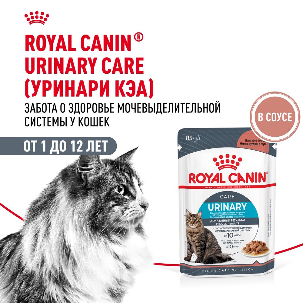 Пауч Royal Canin Urinary Care для взрослых кошек для поддержания здоровья мочевыделительной системы, мелкие кусочки в соусе Пауч Royal Canin Urinary Care для взрослых кошек для поддержания здоровья мочевыделительной системы, мелкие кусочки в соусе