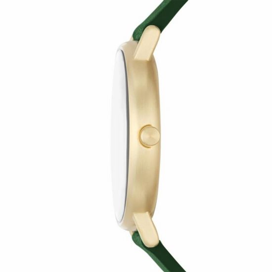 Мужские часы Skagen SKW6861