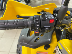 Квадроцикл PROMAX WILD 2.0 190 PRO (2025)