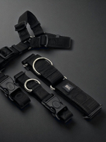 Ошейник Black Fang