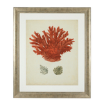 Постер Prints Antique red corals set of 6 арт.111741