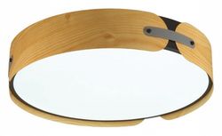 Накладной светильник Sonex Coraggio 7721/120L