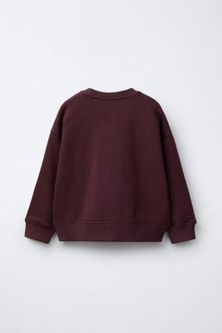 ZARA ТОЛСТОВКА С ПРИНТОМ СОБАКИ, БУРГУНДИ