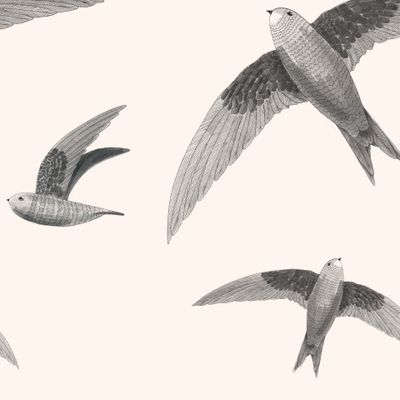 Стрижи прилетели. Птицы, стрижи, ласточки