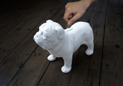 Копилка bull dog