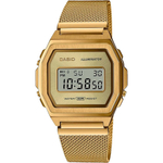 Casio A1000MG-9
