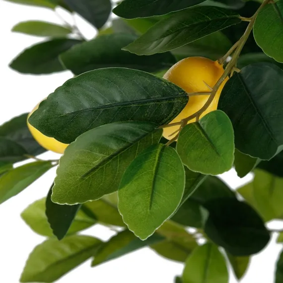 Лимонное дерево высота 150 см