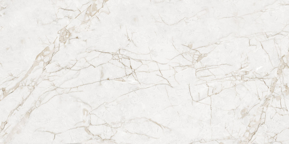 NT Ceramic Marmo Impero Grey Carving 60x120