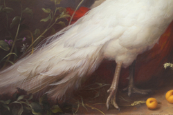 Победитель