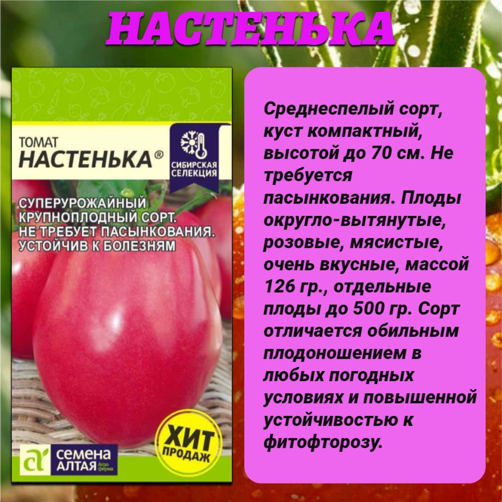 Лучшие сорта томата. Семена Алтая