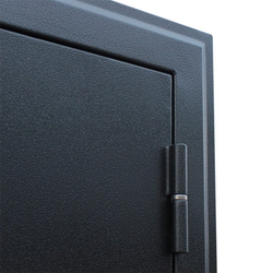 Входная дверь АСД NEXT 1 (Некст 1) с зеркалом Акация светлая поперечная / Антик серебро