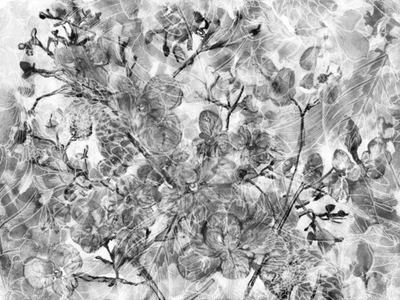 Дизайнерские обои Wall Street Aquarelle