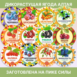 Лист облепихи.
