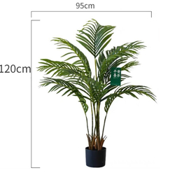 Пальма Дипсис 120 см.