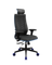 SynchroSit 10 B2-244D - UMF(SY271) /Kblum44/Wblum44/D02P/H19blumL-1DF(M18.B11.G19.W33)