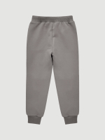 Джоггеры Mjölk Fog