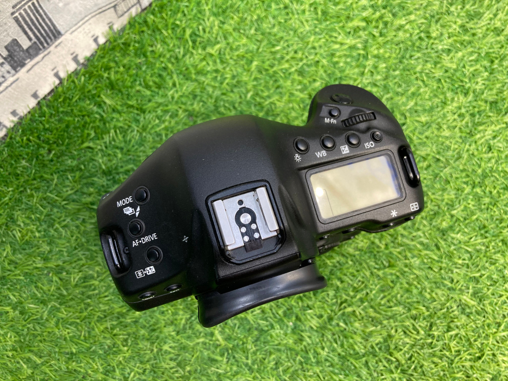 Canon EOS 1DX (257.000 кадров)
