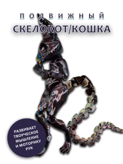 Скелет Кошки