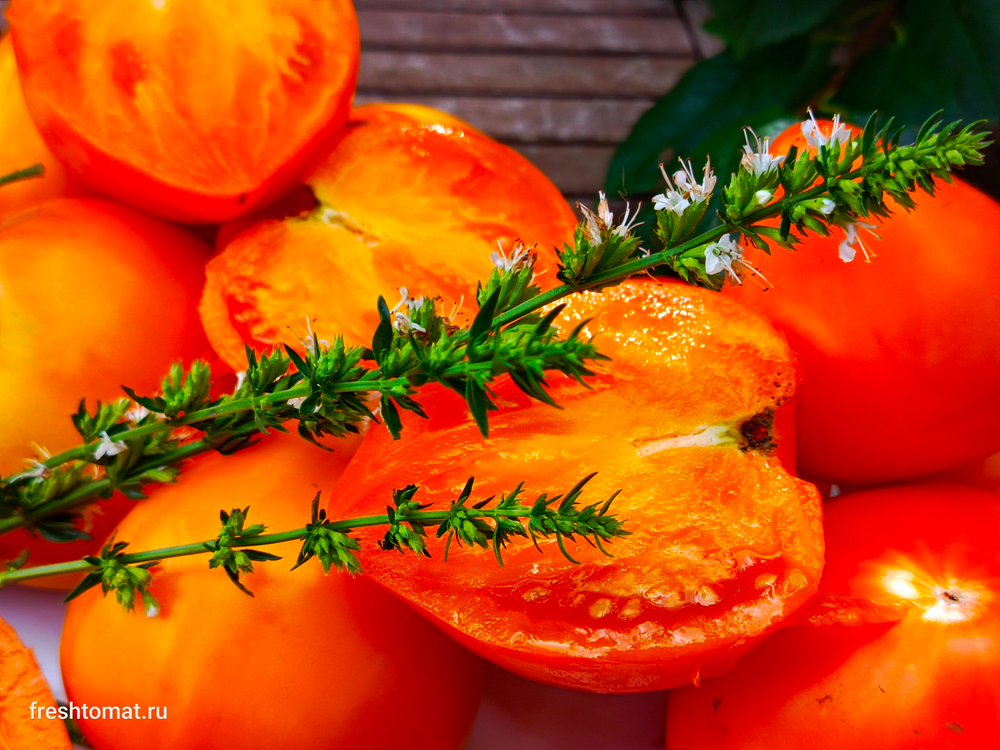Озеро Брэт жёлтое сорт томата