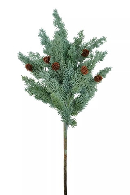 Ветка можжевельника высокая