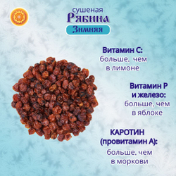 Рябина красная 500 гр. Алтайская "Зимняя" ягода сушеная