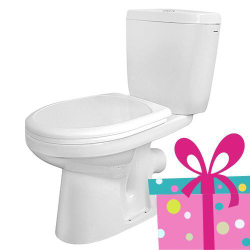 Унитаз-компакт Santek Анимо с сидением стандарт