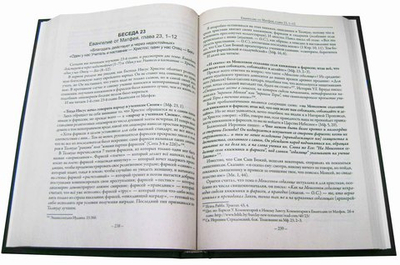 Беседы на Евангелие от Матфея. От горы Преображения до горы Вознесения.  Священник Олег Стеняев