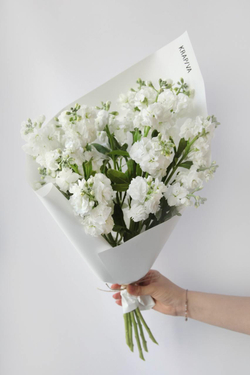 Монобукет Маттиола кустовая White