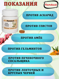 Курс Дидан Джадид / Deedan Jadeed Hamdard