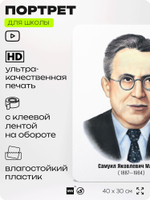 Портрет для школы в кабинет литературы и русского языка "Маршак Самуил Яковлевич", стенд школьный для класса, для оформления классного уголка, 40х30 см, Silver Plane x Айдентика Технолоджи