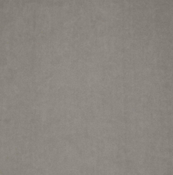 Микровелюр Бэст 06