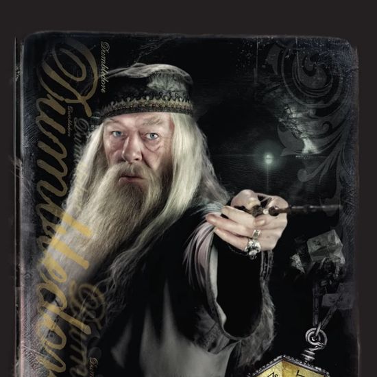 Гарри Поттер и Принц-полукровка. Календарь настенный на 2023 год (300х300 мм)