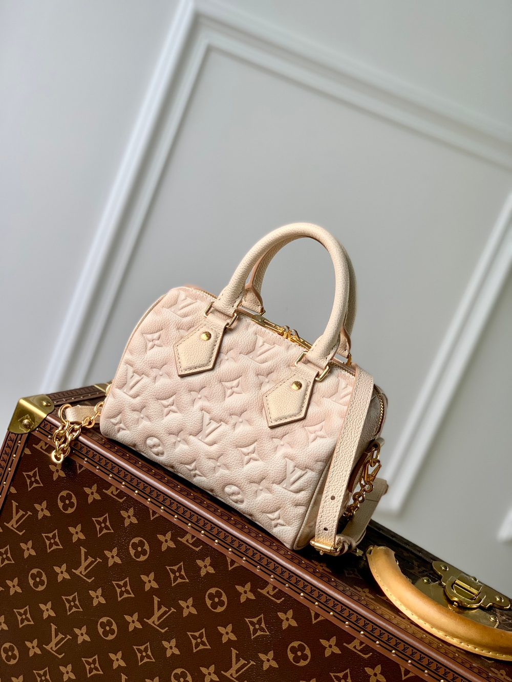 Louis Vuitton Speedy 20