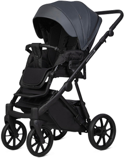 Детская коляска Riko Basic Montana X Ecco 2 в 1 24 Graphite (графит)