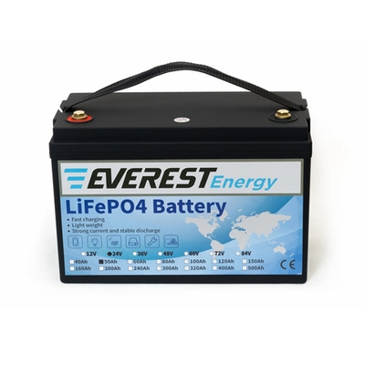 Тяговая аккумуляторная батарея Everest LFP-24V50Аh-PRO + LCD + Bluetooth