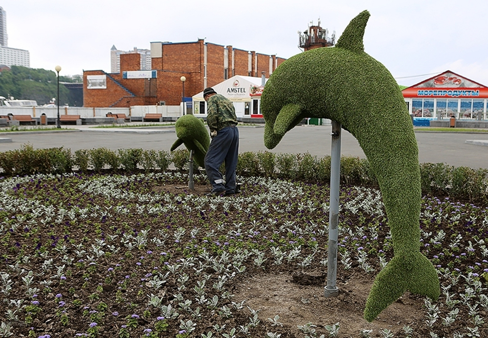 Топиарная фигура Дельфин