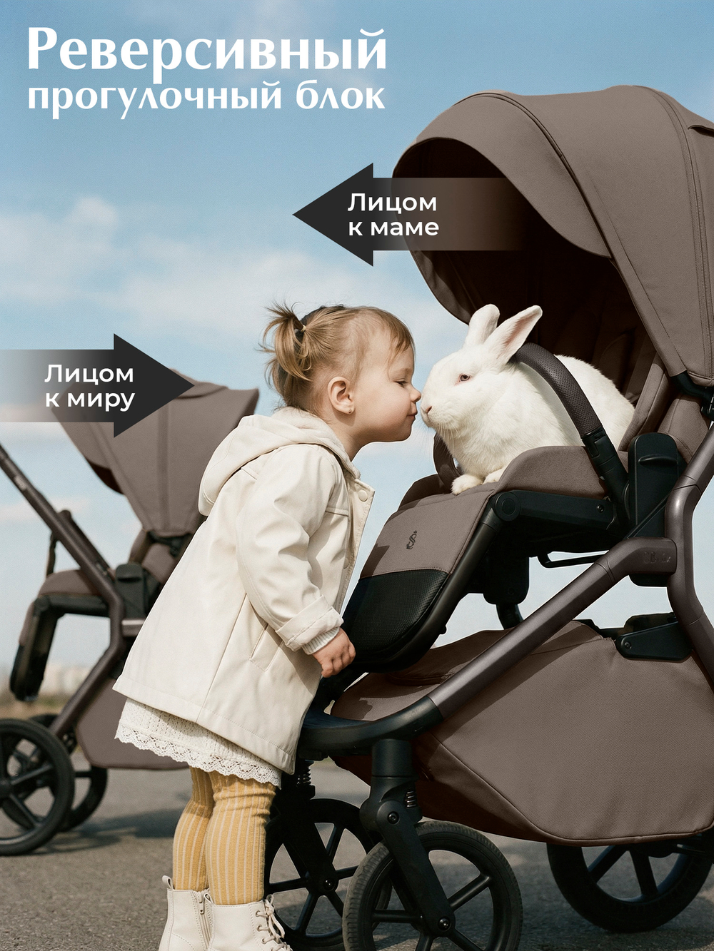 Sweet Baby Коляска 2 в 1 SBL Dark Beige