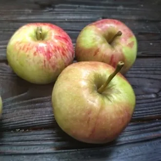 Яблоки сладкие Мельба и Кариш (1 кг)
