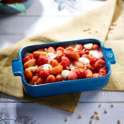 Прямоугольная форма для запекания 25х15.5см 1.4л Peugeot Light Blue