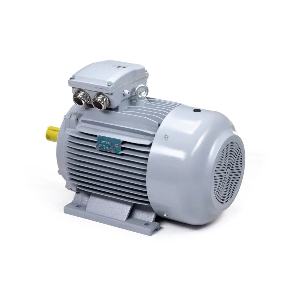 Электродвигатель ESQ PR 225 M4-SDN-Б1-S12-IE3 45/1500 IMB3