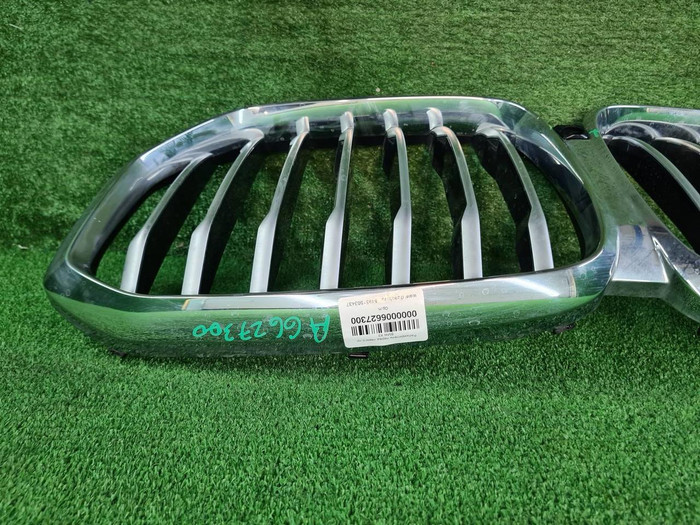 Решетка радиатора BMW X5 G05 (2018-2023)