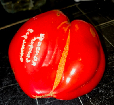 КРАСНАЯ ГОРНАЯ ВЕРШИНА