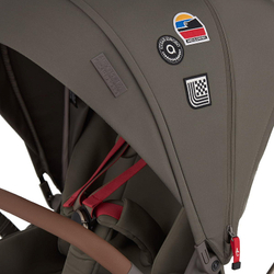 Детская коляска Anex Flo 2 в 1 Cesar