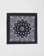 Бандана Anteater Черная